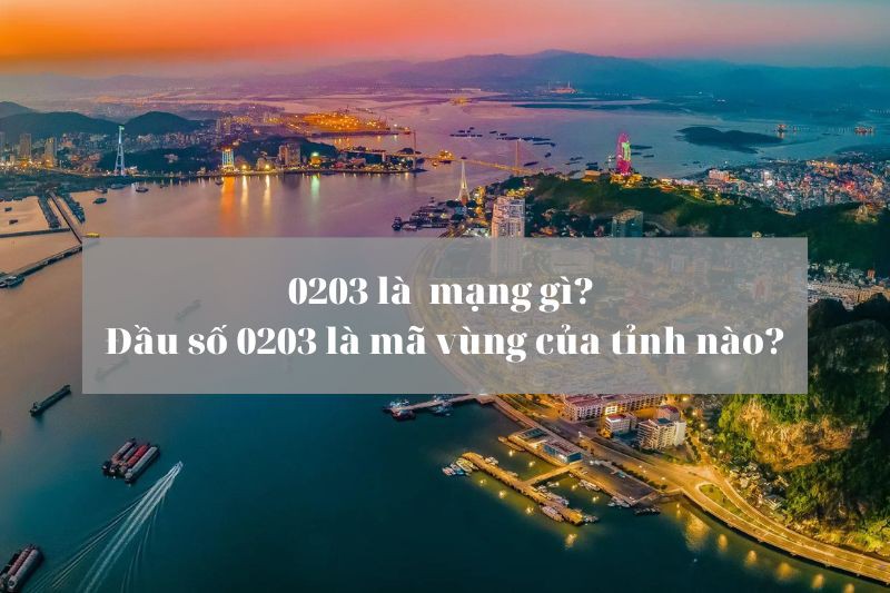 0203 là mạng gì? Đầu số 0203 có phải mã vùng của tỉnh Quảng Ninh không?